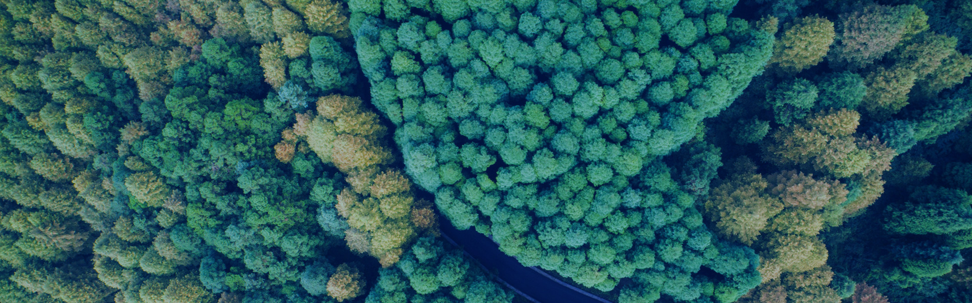 誠(chéng)信為本，不忘初心